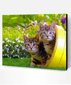 Two Kitties In Garden Paint By Number