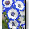 White Blue Flowers Paint By Numbers