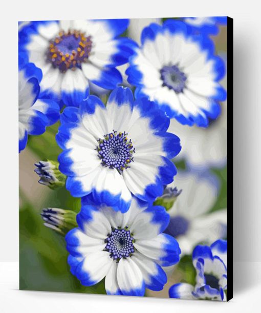 White Blue Flowers Paint By Numbers