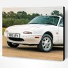 White Mx5 Mk1 Car Paint By Numbers