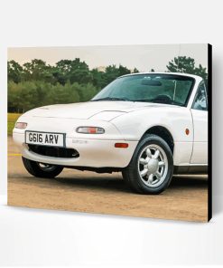 White Mx5 Mk1 Car Paint By Numbers