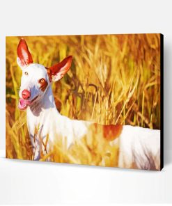 White Podenco Dog Paint By Number