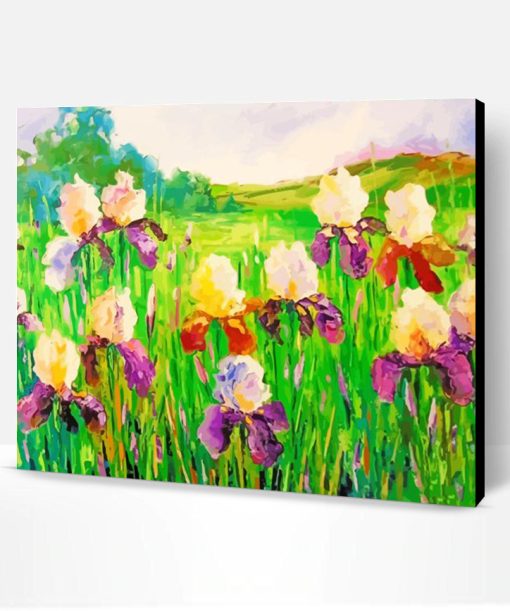 Abstract Iris Flower Field Paint By Numbers