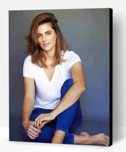 Actress Stana Katic Paint By Number