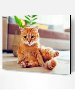 Adorable Orange Tabby Cat Paint By Number