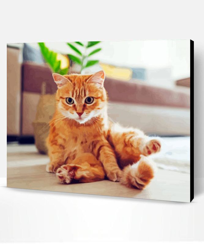 Adorable Orange Tabby Cat Paint By Number