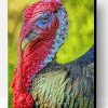 Aesthetic Bird Turkey Paint By Numbers