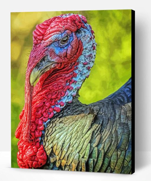 Aesthetic Bird Turkey Paint By Numbers