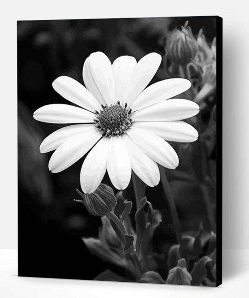 Aesthetic Black And White Flower Paint By Number