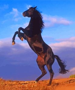 Aesthetic Black Horse Illustration Paint By Number