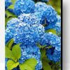 Aesthetic Blue Hydrangeas Paint By Numbers