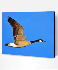 Aesthetic Canada Geese Paint By Numbers