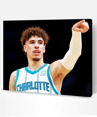 Aesthetic Charlotte Hornets Art Paint By Number