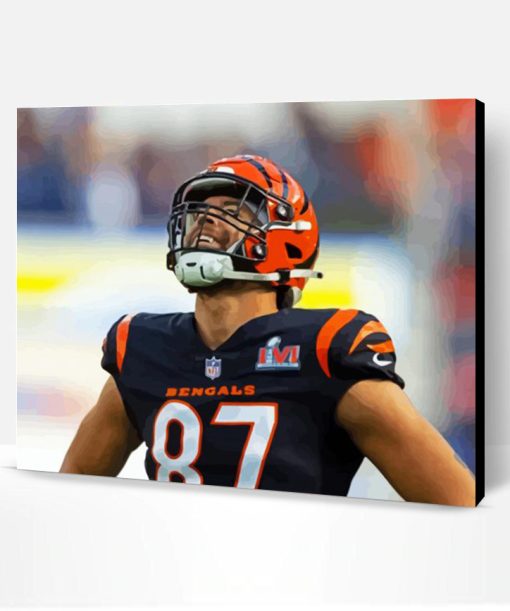 Aesthetic Cincinnati Bengals Paint By Numbers