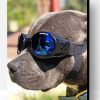 Aesthetic Dog Sunglasses Art Paint By Numbers