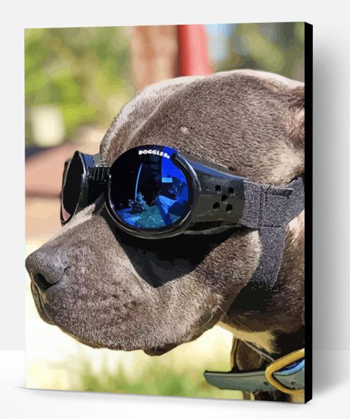 Aesthetic Dog Sunglasses Art Paint By Numbers