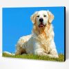 Aesthetic English Golden Retriever Illustration Paint By Number