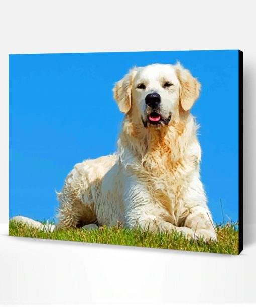 Aesthetic English Golden Retriever Illustration Paint By Number