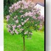 Aesthetic Lilac Tree Paint By Number