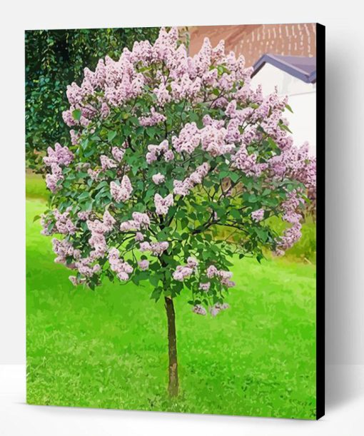 Aesthetic Lilac Tree Paint By Number