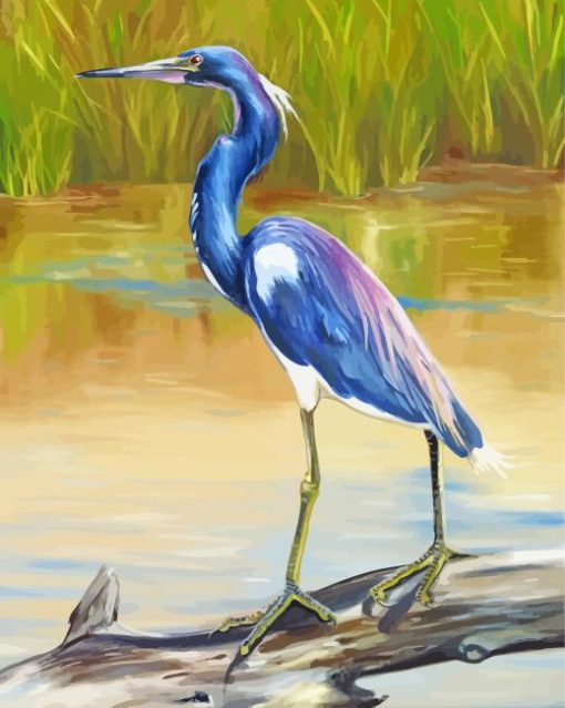 Aesthetic Louisiana Heron Bird Paint By Number