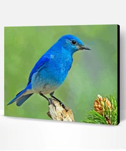 Aesthetic Mountain Bluebird Art Paint By Numbers