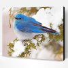 Aesthetic Mountain bluebird Paint By Numbers