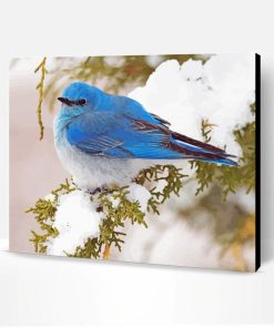 Aesthetic Mountain bluebird Paint By Numbers