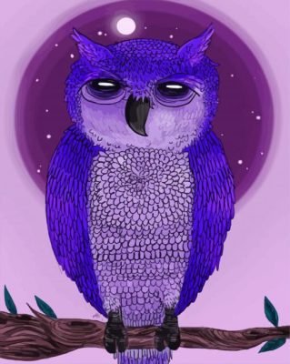 Aesthetic Purple Owl Paint By Number