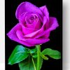Aesthetic Purple Rose Paint By Number