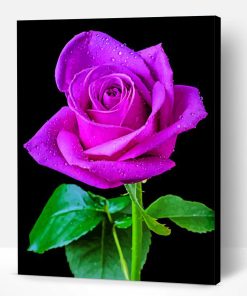Aesthetic Purple Rose Paint By Number