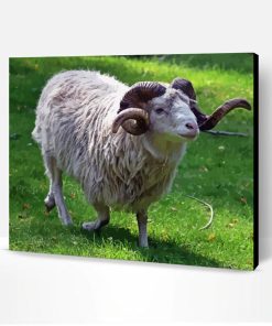 Aesthetic Ram Sheep Paint By Numbers