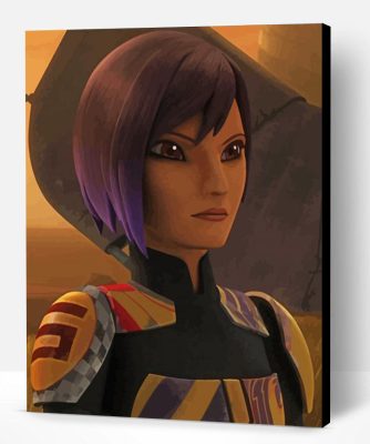 Aesthetic Sabine Wren Paint By Number