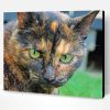 Aesthetic Tortoise Shell Cat Paint By Numbers