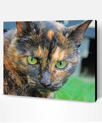 Aesthetic Tortoise Shell Cat Paint By Numbers