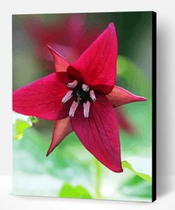 Aesthetic Trillium Flower Paint By Number