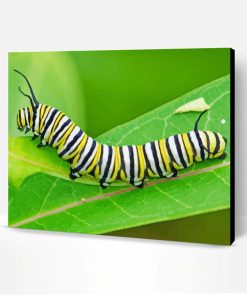 Aesthetic Caterpillar Paint By Numbers