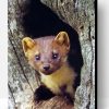 Aesthetic Cute Marten Animal Paint By Numbers