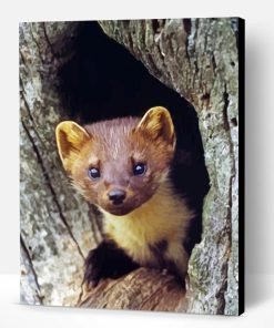 Aesthetic Cute Marten Animal Paint By Numbers