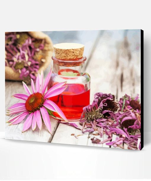 Aesthetic Echinacea Paint By Numbers