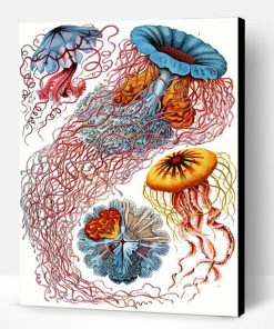 Aesthetic Ernst Haeckel Paint By Number