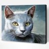 Aesthetic Grey White Cat Paint By Number