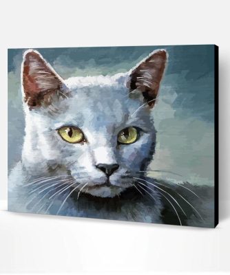 Aesthetic Grey White Cat Paint By Number