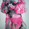 Aesthetic Pink Poodle Paint By Number