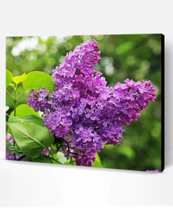 Aesthetic Purple Lilac Tree Paint By Number