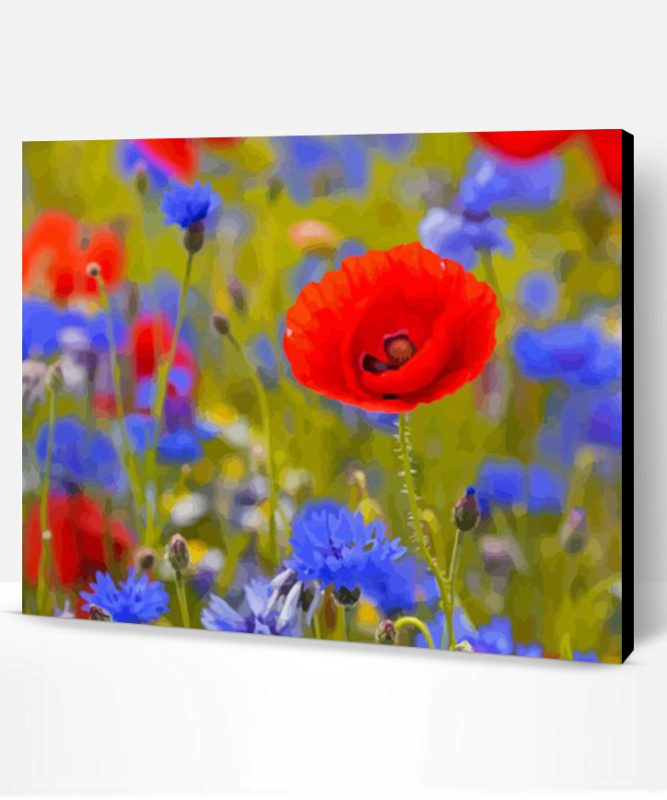 Aesthetic Red Poppies And Blue Cornflowers Paint By Numbers