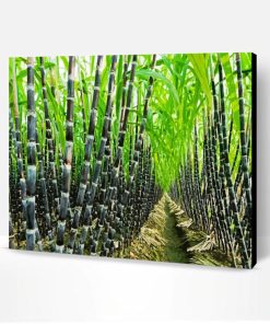 Aesthetic Sugarcane Tree Paint By Number