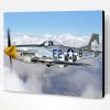 Aesthetic Warbirds Paint By Numbers