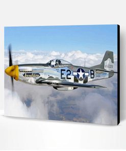 Aesthetic Warbirds Paint By Numbers