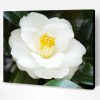 Aesthetic White Camellia Paint By Numbers